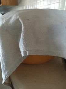 Covered rising bread Writefuljourney.com